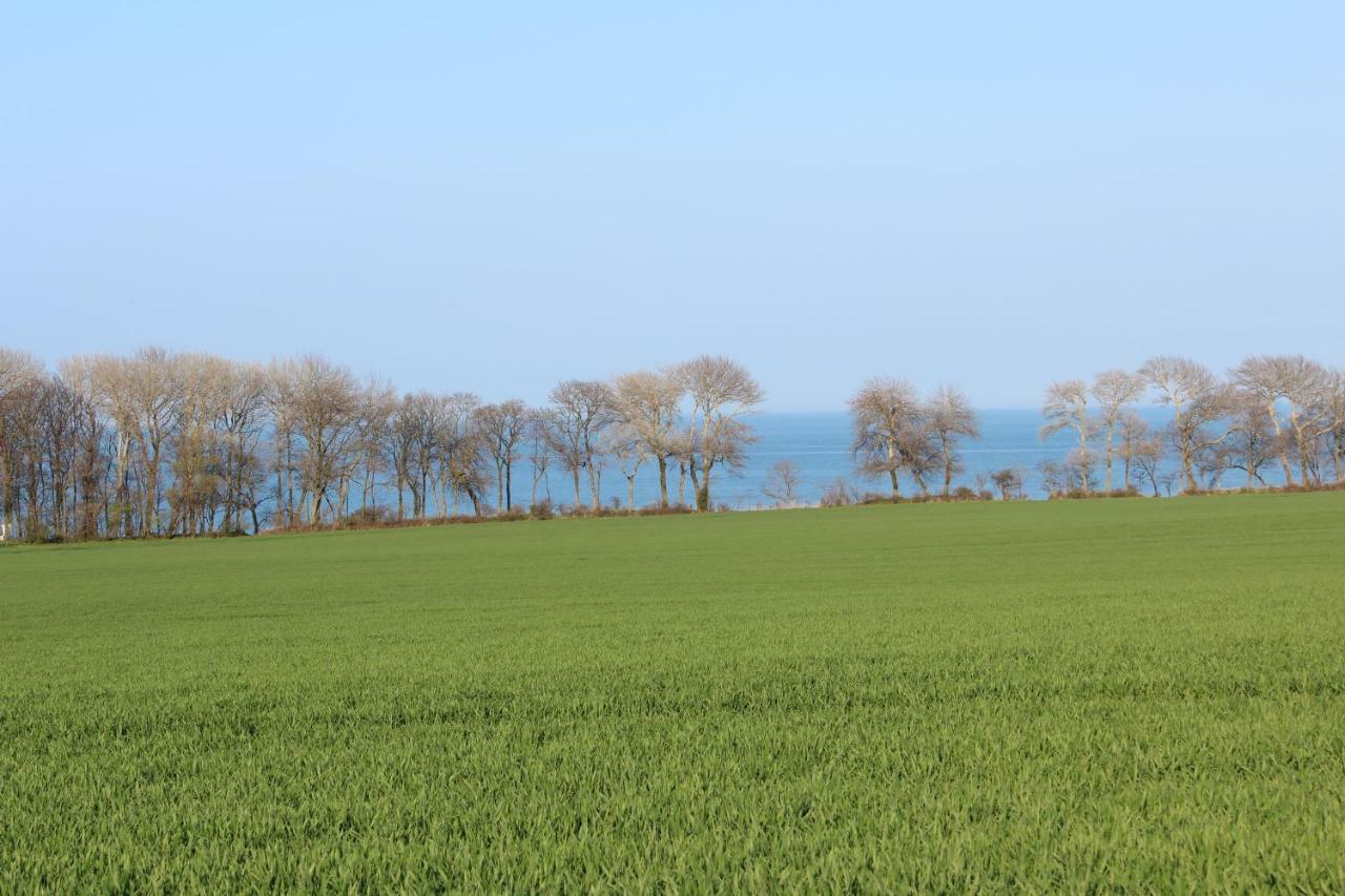 Ferienwohnungen Am Museumshof Fehmarn Exteriör bild